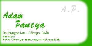 adam pantya business card